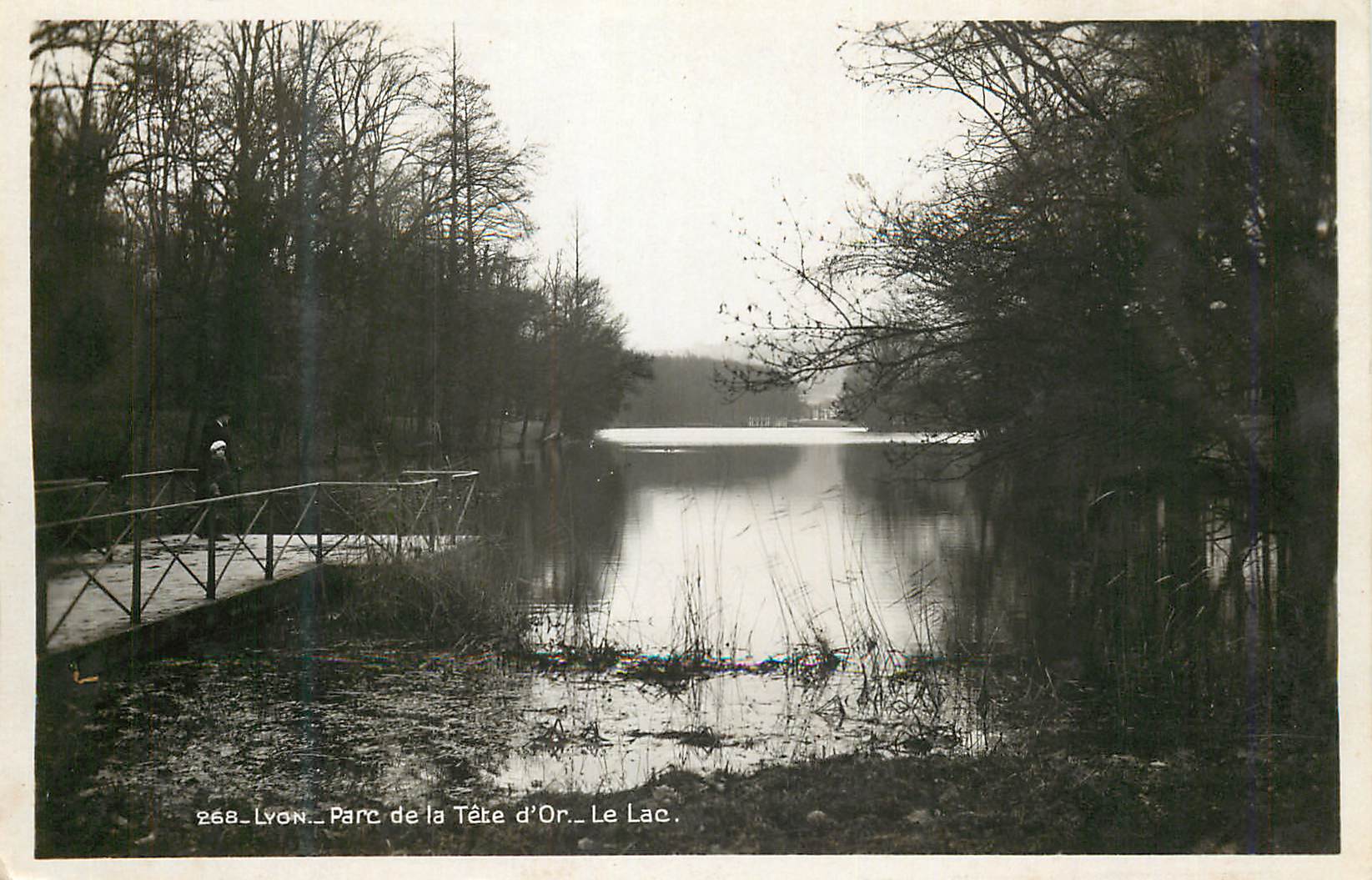CPM Lyon Parc de la Tete d'Or le Lac