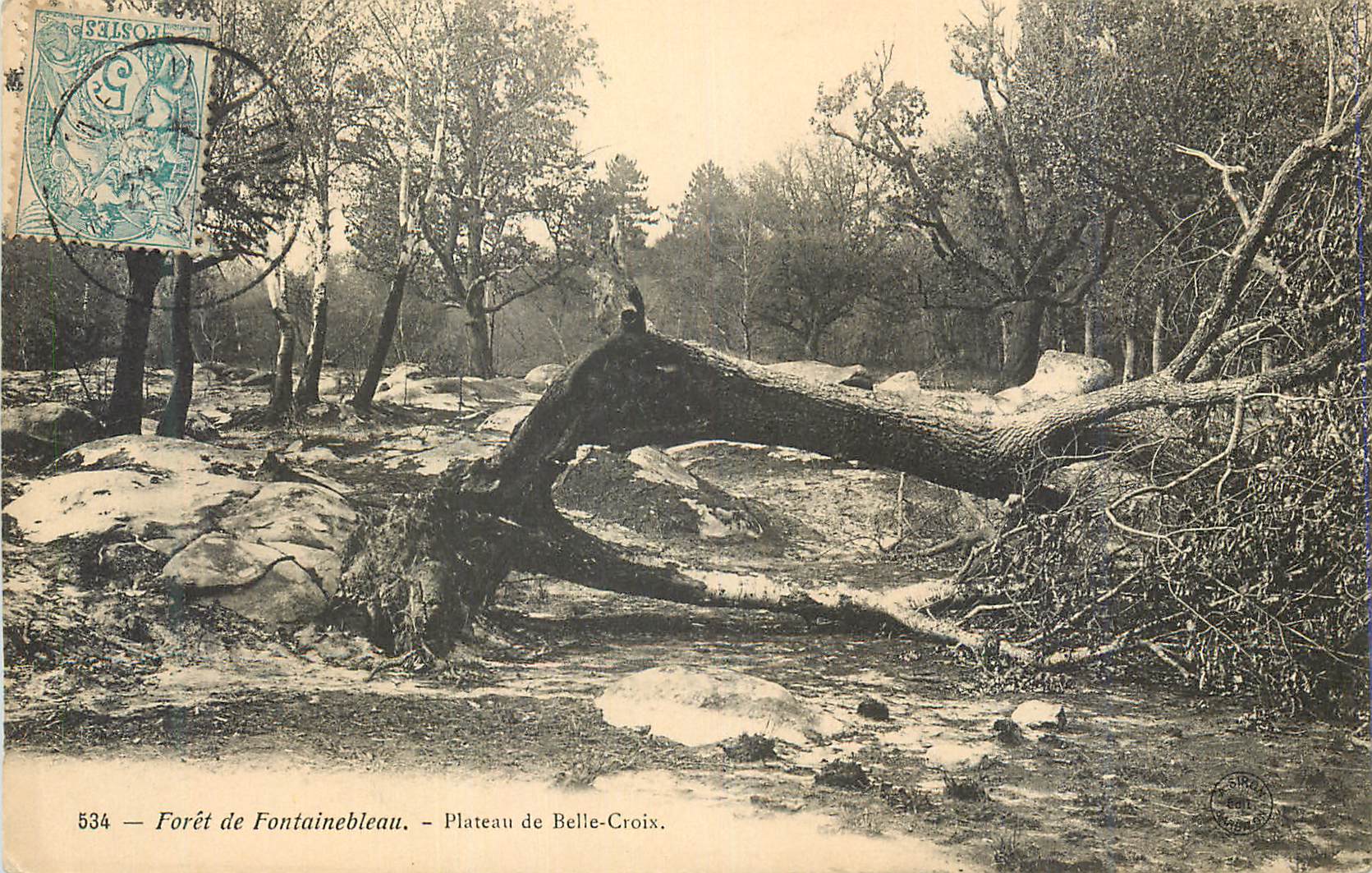 Forêt de Fontainebleau — Plateau de Belle-Croix — n° 534
