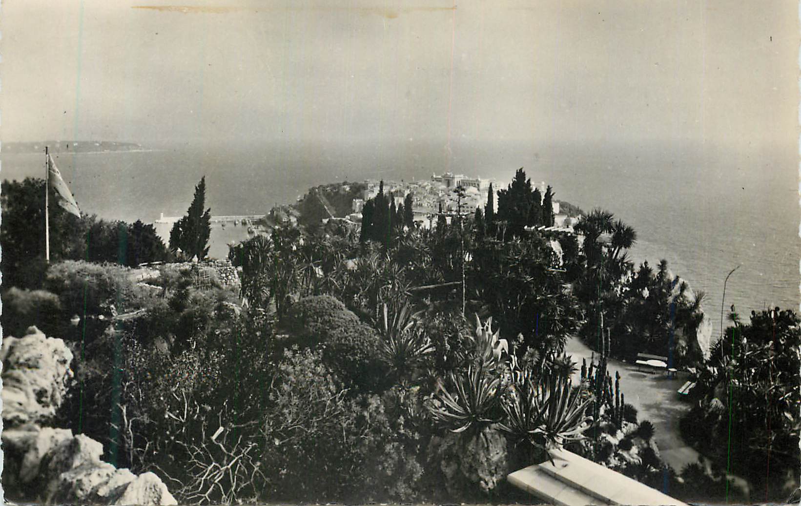 CPM Jardin Exotique de Monaco Le Plateau Superieur