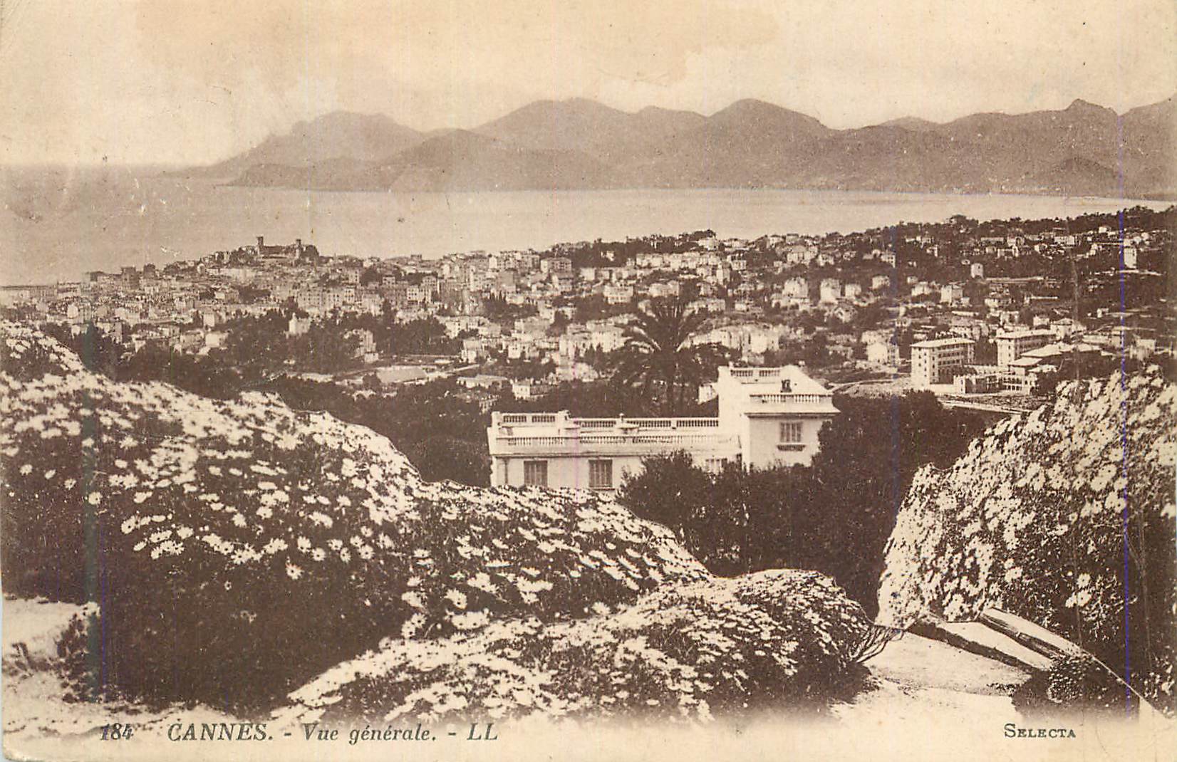 CPA Cannes Vue Generale
