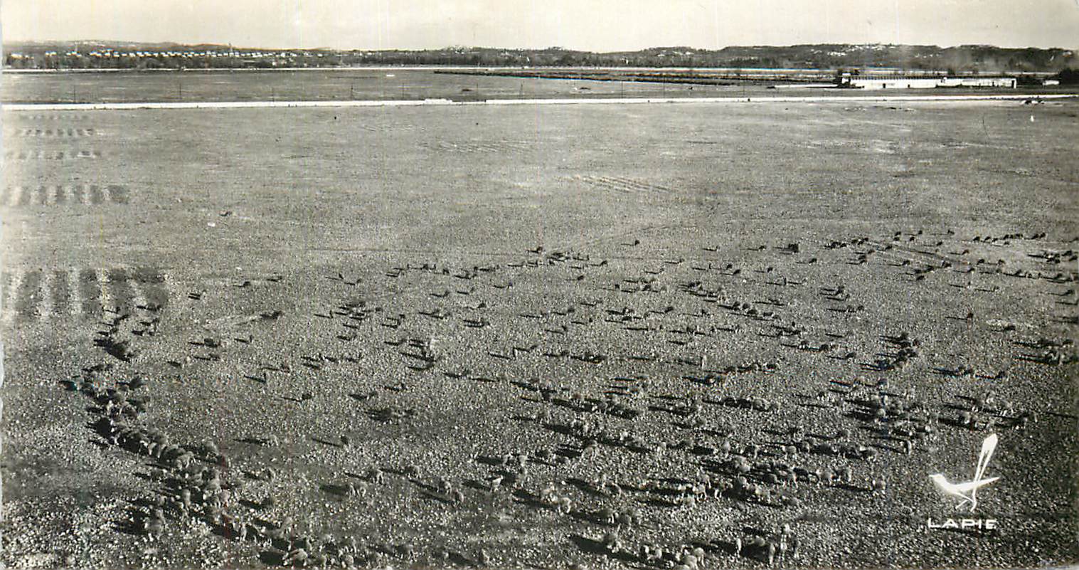 CPM Agriculture L'Elevage des Moutons dans la Crau (Miramas Bouches du Rhone)