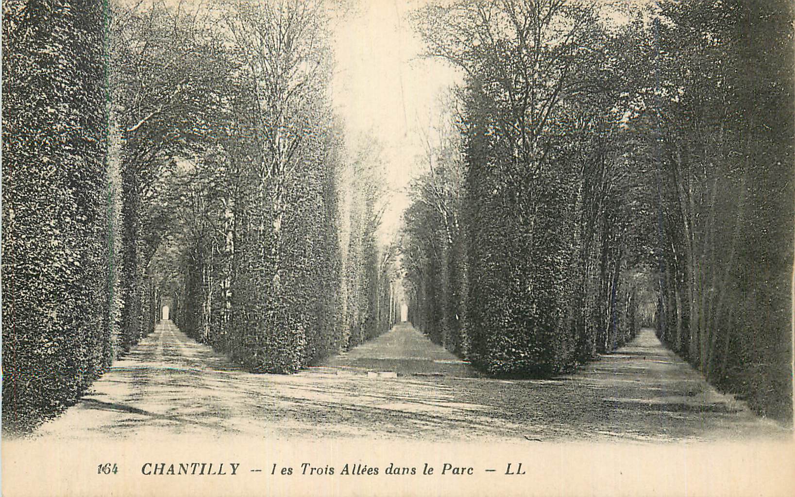 CPA Chantilly Les Trois Allees dans le Parc