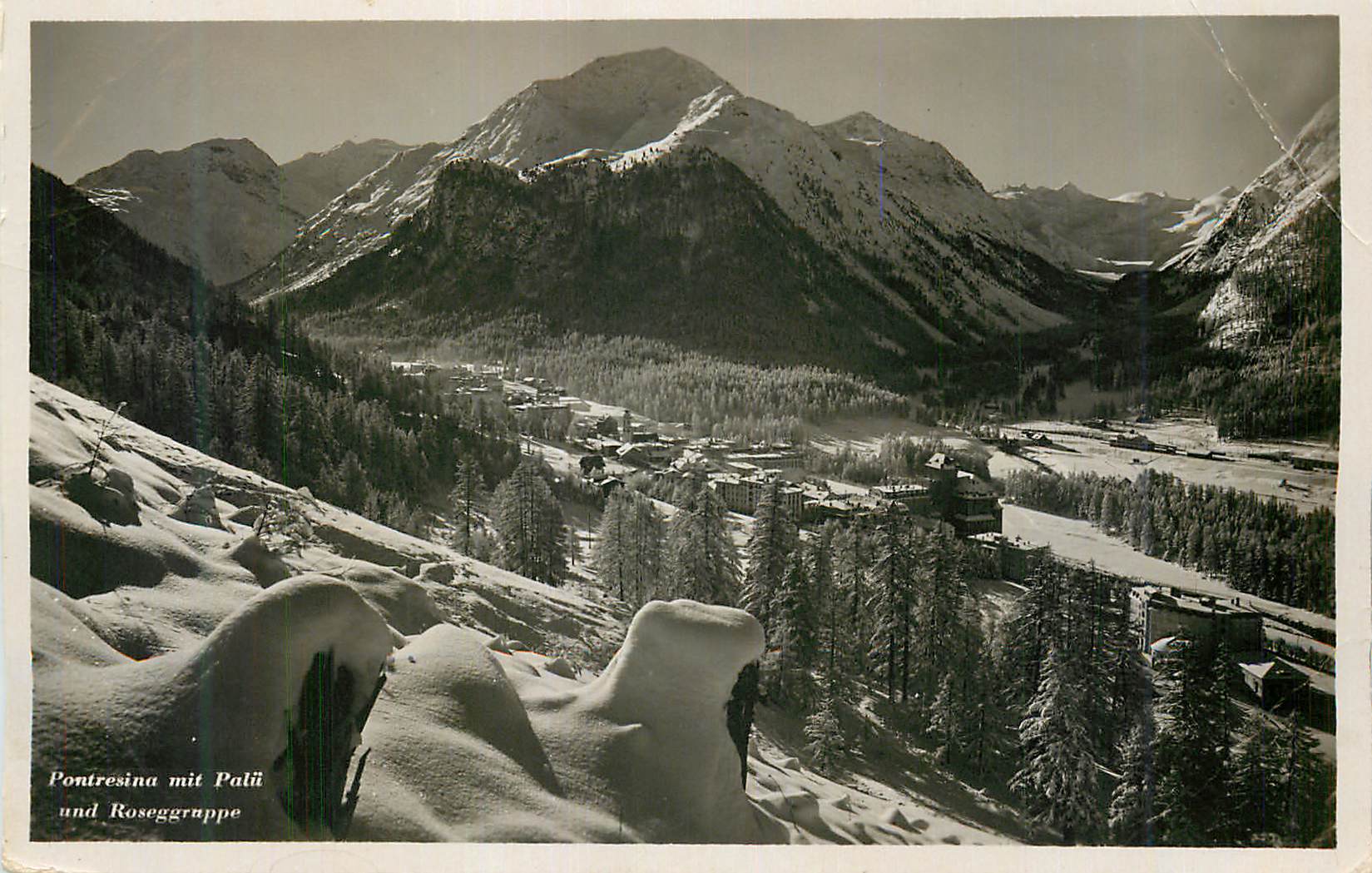 CPM Pontresina mit Palu und Roseggrappe