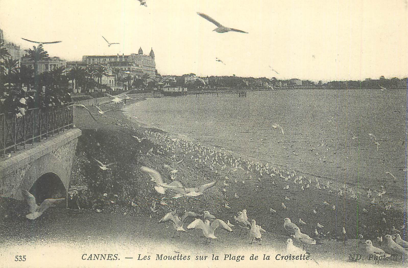 REPRO Cannes Les Mouettes sur la Plage de la Croisette