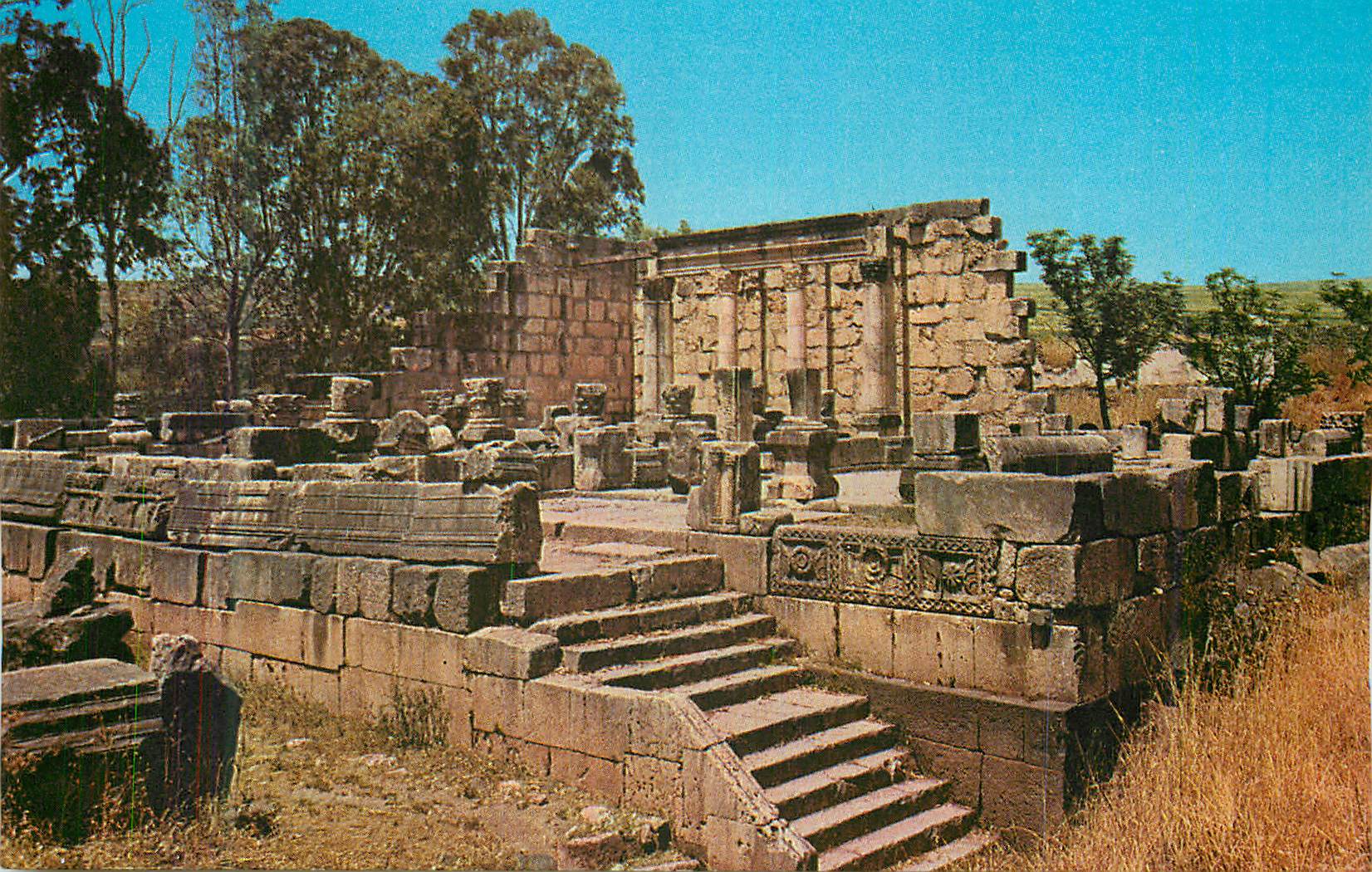 CPM Capernaum Ancient Synagogue