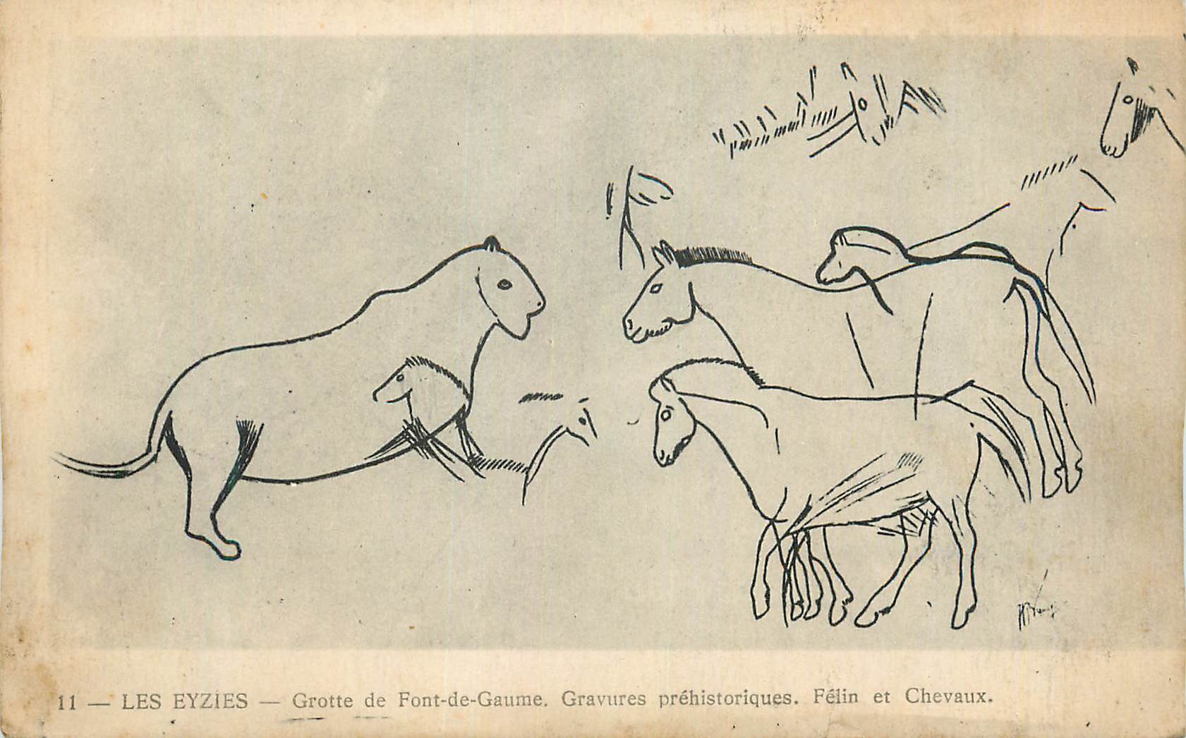 Les Eyzies — Grotte de Font-de-Gaume. Prähistorische Gravuren. Felid und Pferde.