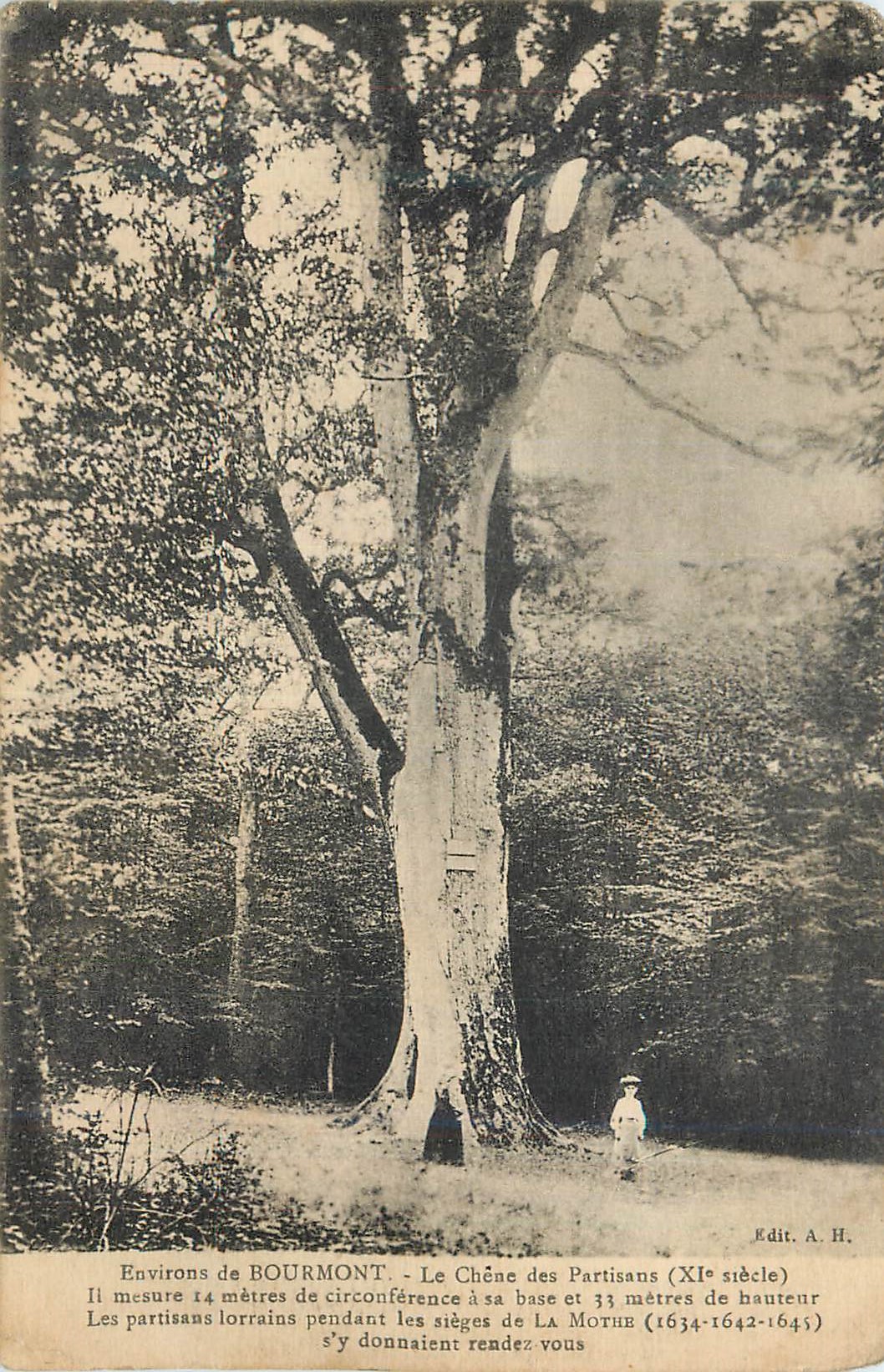 CPA Environs de Bourmont Le Chene des Partisantss (XIe Siecle)