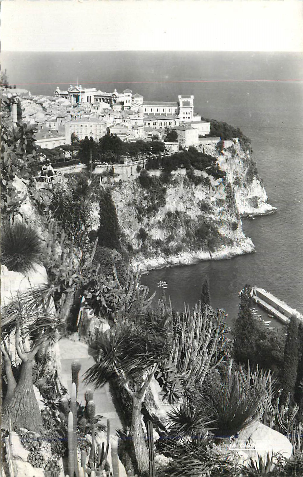 CPM Principaute de Monaco Le Rocher vu du Jardin Exotique