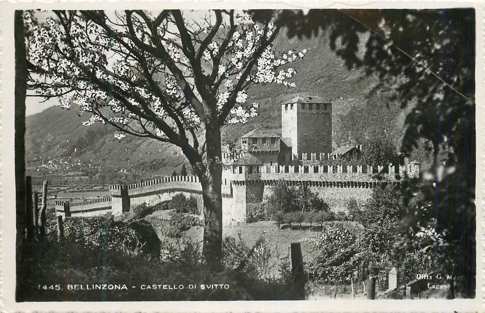 CPM Bellinzona Castello di Svitto