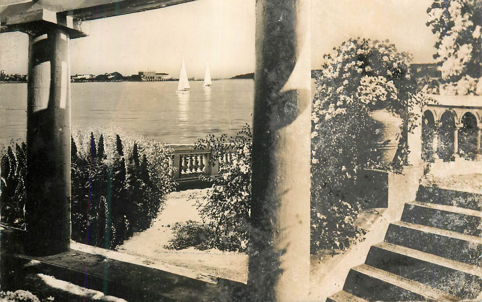 CPM Cannes La Cote D'Azur Le Palm Beach