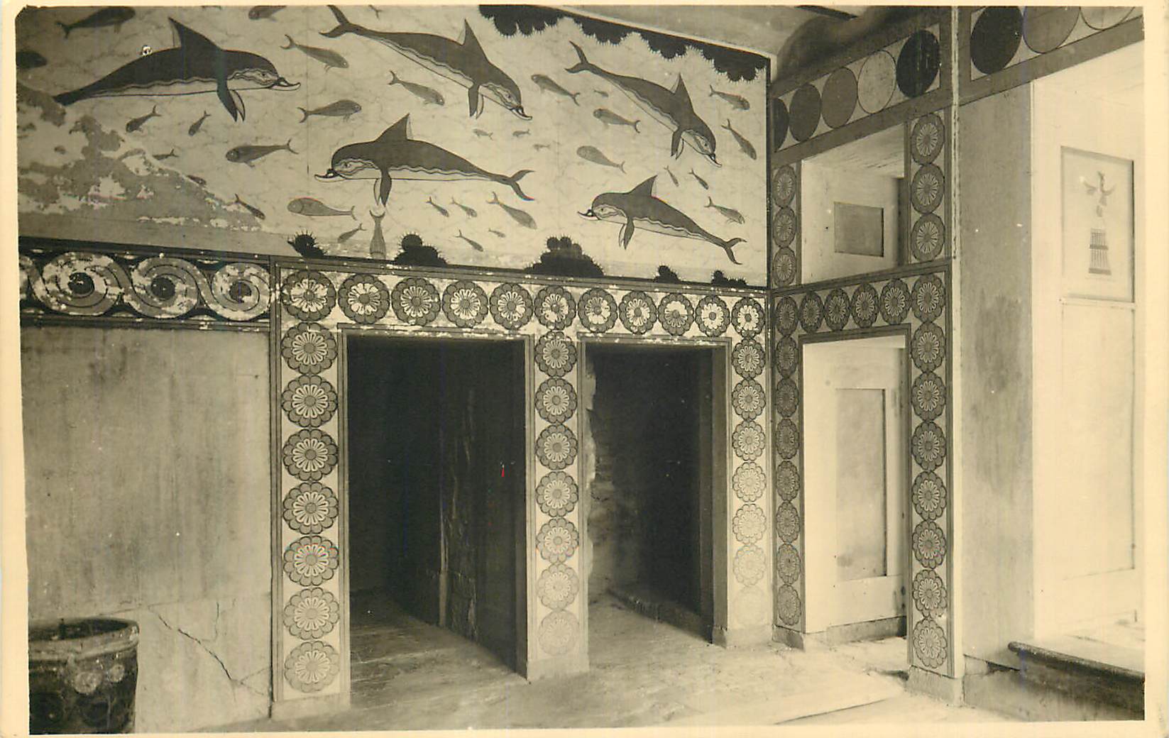 CARTE PHOTO Dauphins