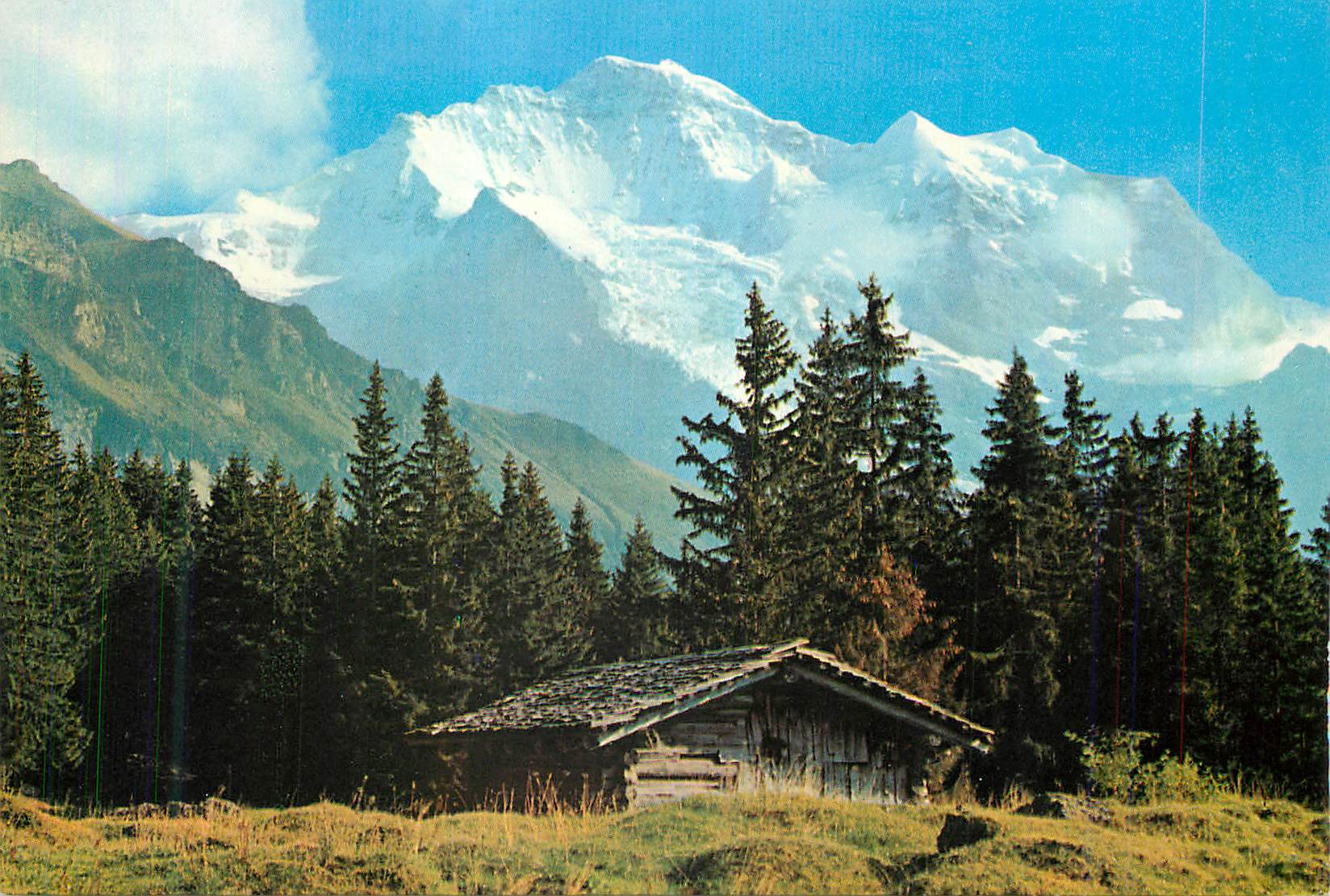 CPM Bei Wengen Berner Oberland Die Jungfrau (4158 m)