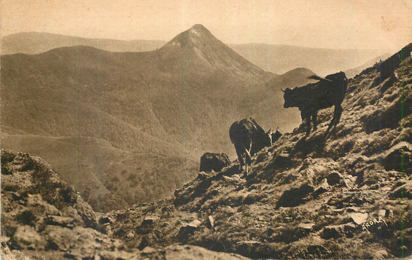 CPA Cantal Le Puy Griou (1694 m) vu des Flancs du Puy Mary Vaches