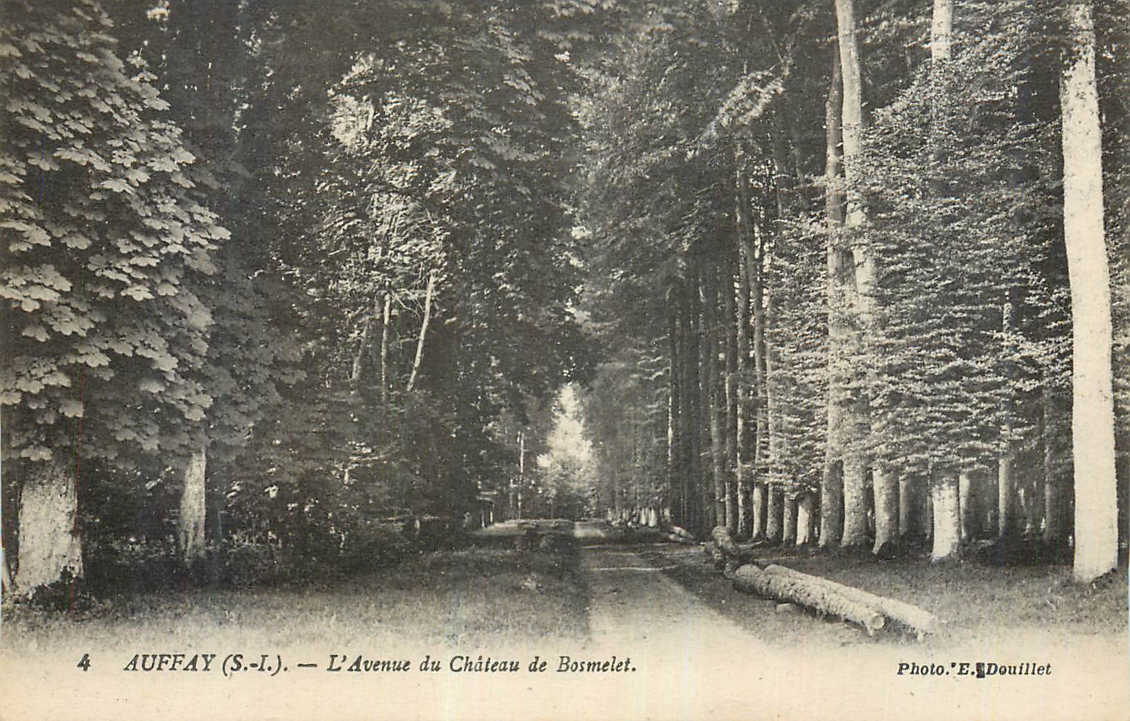 CPA Auffay (S I) L'Avenue du Chateau de Bosmelet