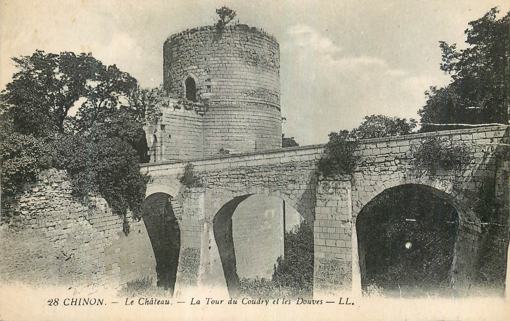 CPA Chinon Le Chateau La Tour du Coudry et les Douves