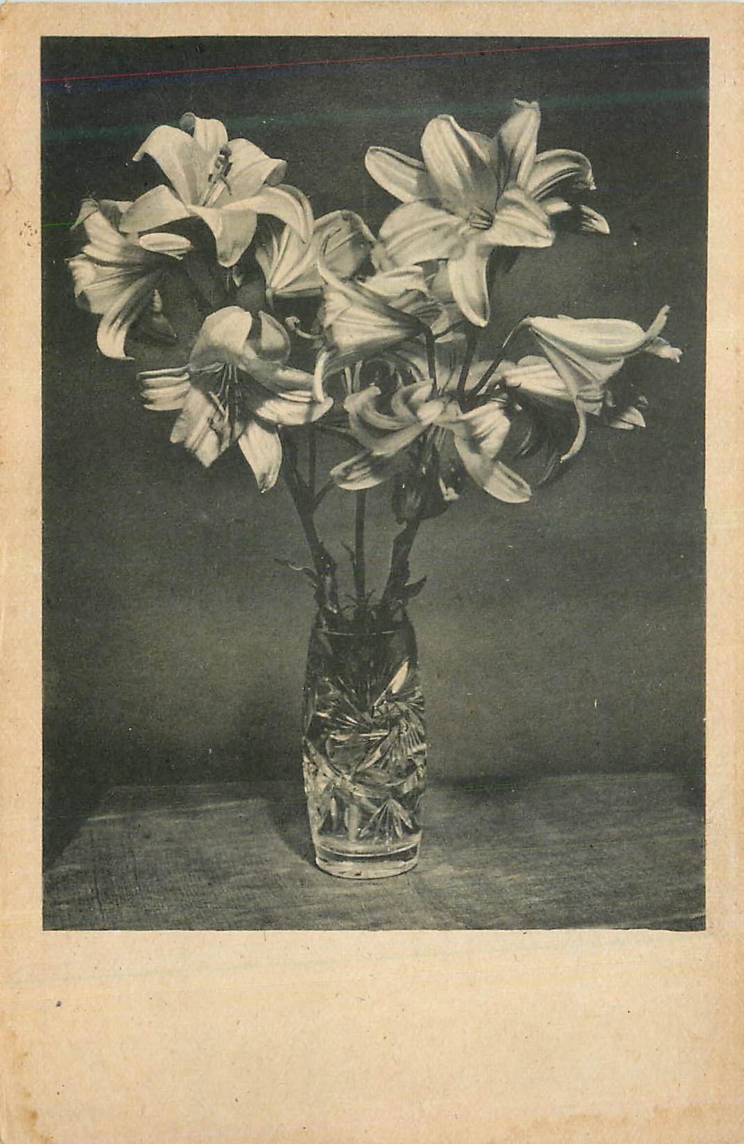 CPA Fleurs