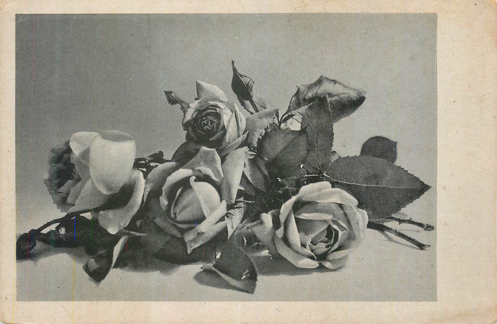 CPA Fleurs