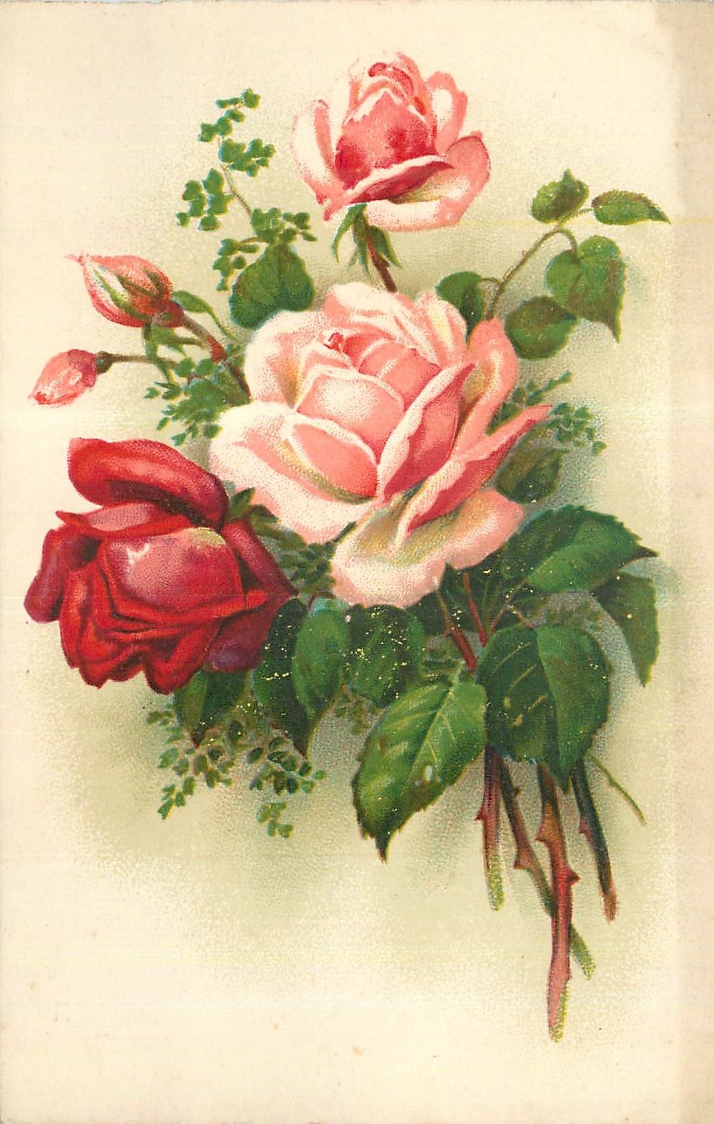 CPA Fleurs