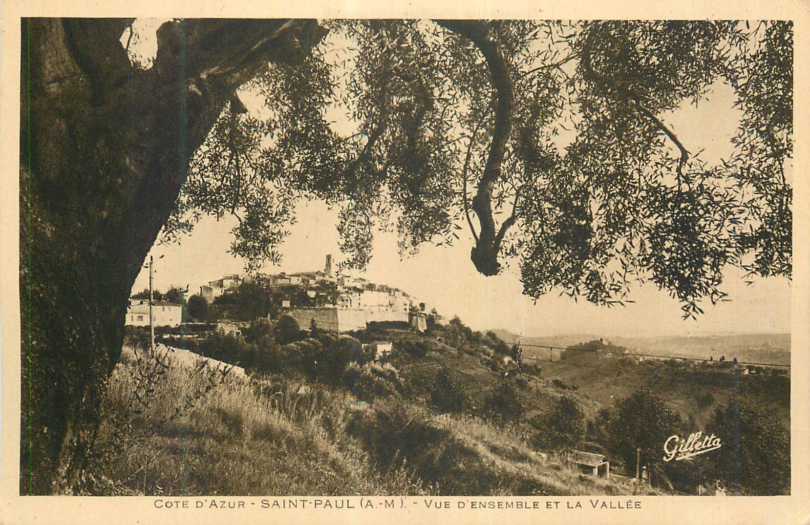 CPA Cote d'Azur Saint Paul (A M) Vue d'Ensemble et la Vallee