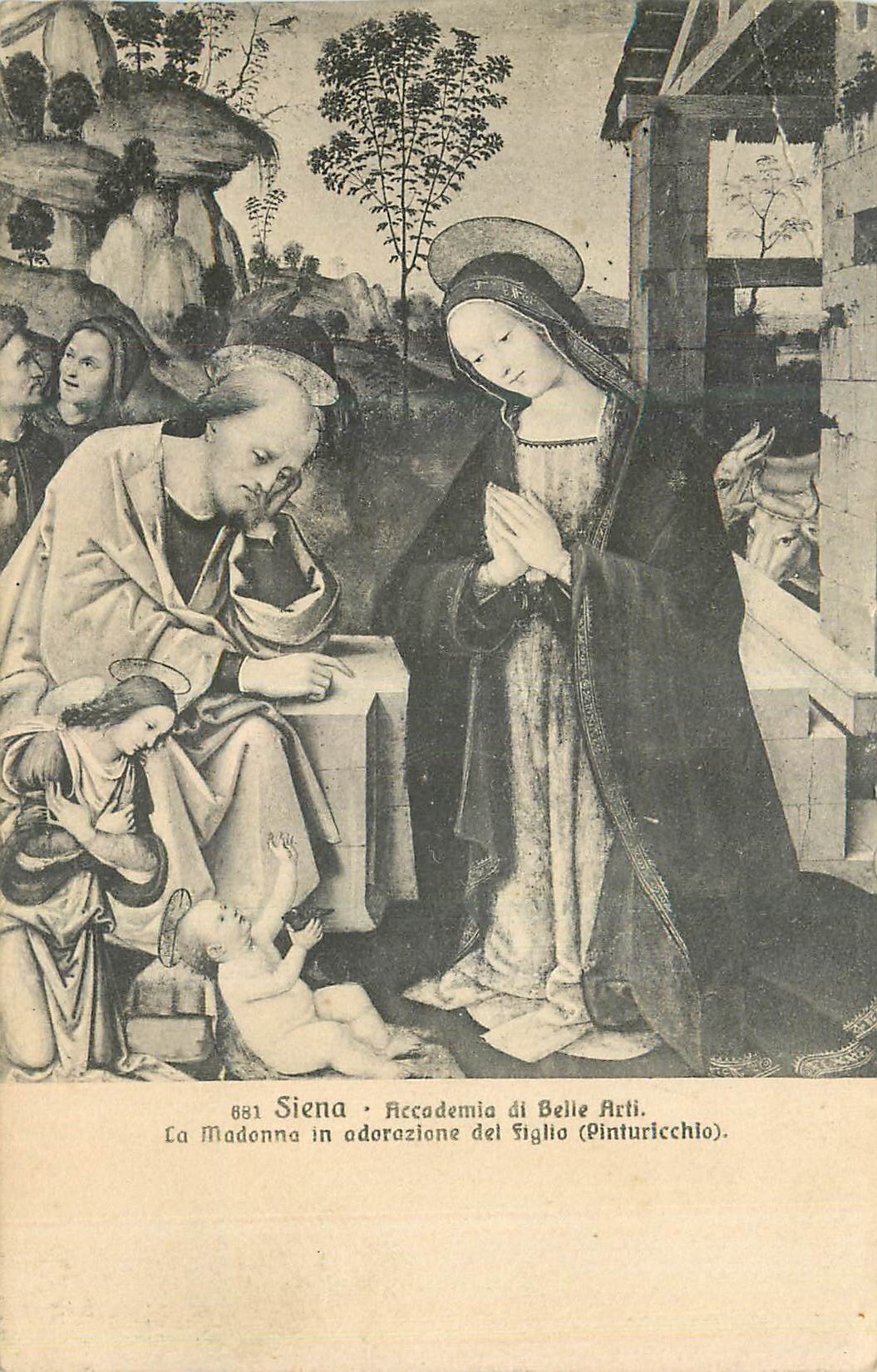 CPA Siena Accademia di Belle Arti
