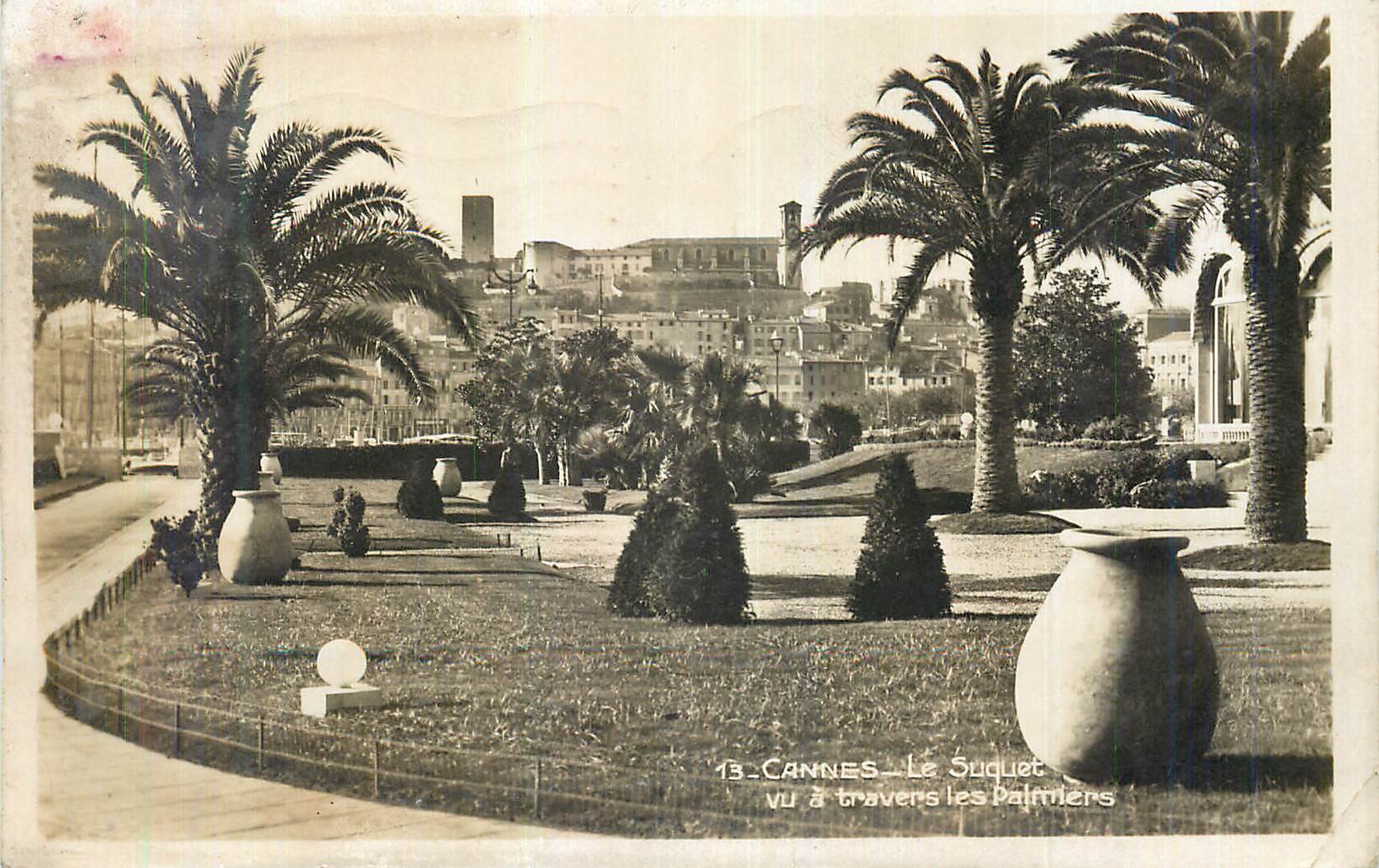 CPM Cannes Le Suquet vu a Travers les Palmiers