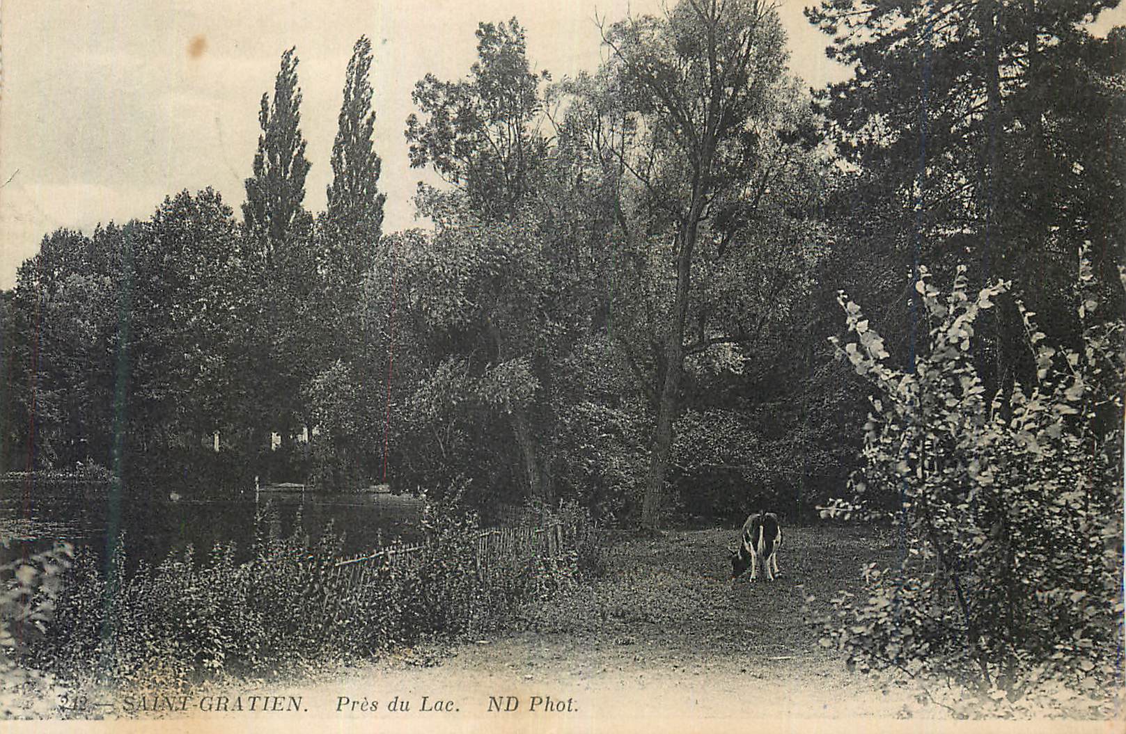 CPA Saint Gratien Pres du Lac Vache