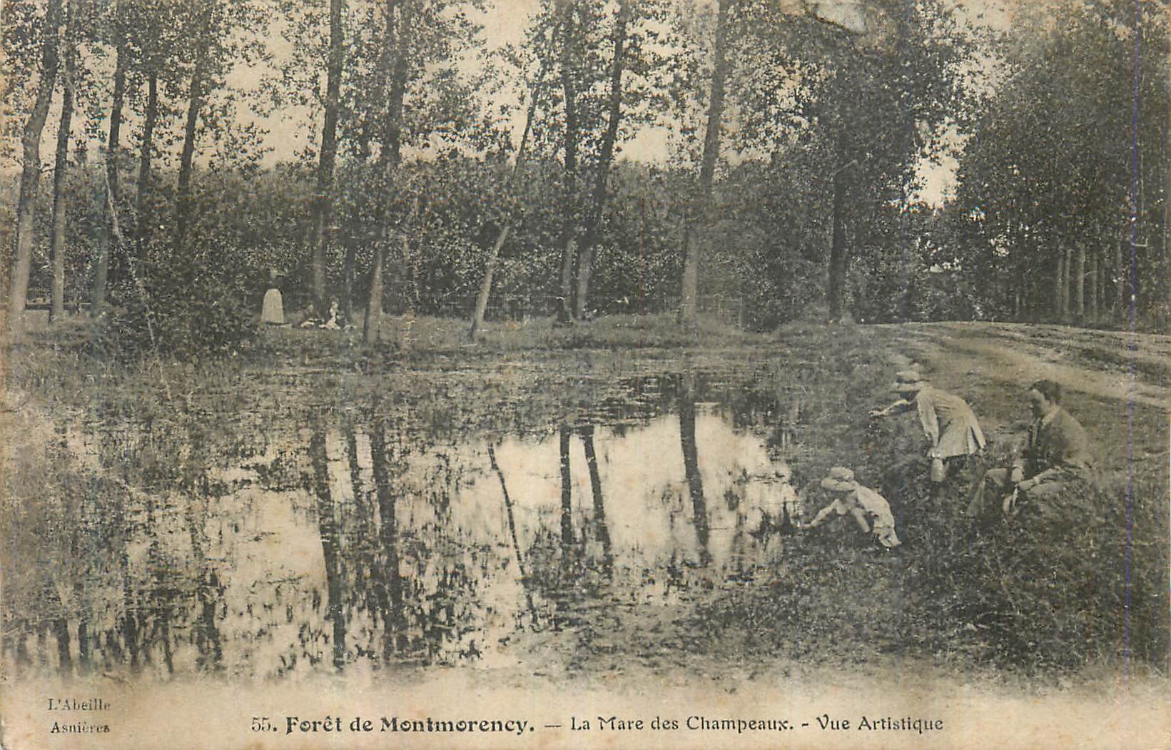 Forêt de Montmorency — La Mare des Champeaux — Vue Artistique