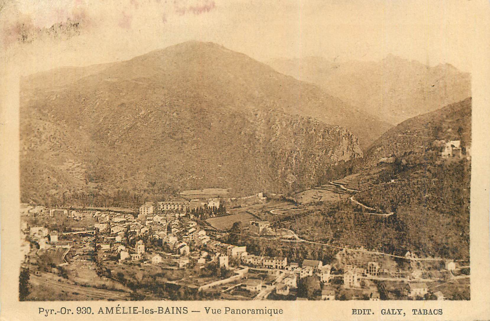 CPA Amelie les Bains Vue Panoramique
