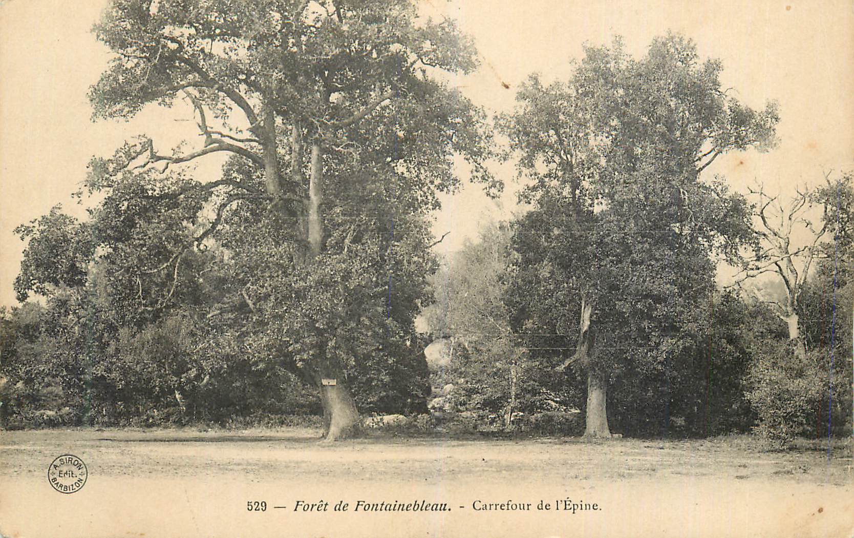 Bosque de Fontainebleau — Cruce de l'Épine — Editorial Siron, n° 529