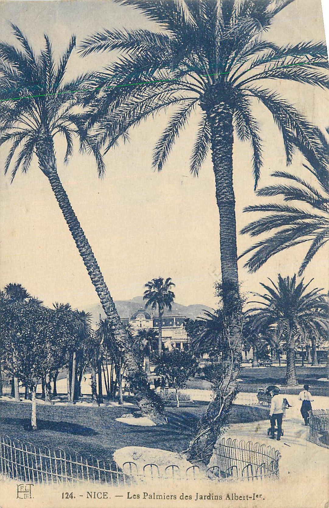 CPA Nice Les Palmiers des Jardins Albert Ier