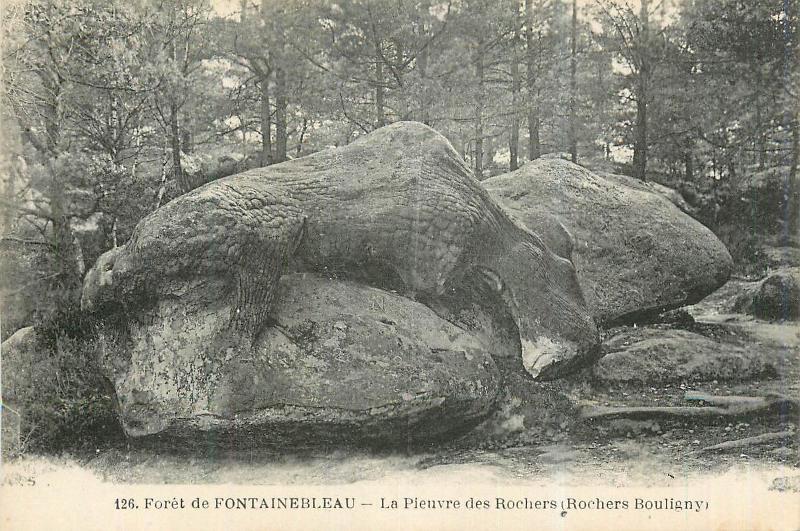Bosque de FONTAINEBLEAU — La Pulpo de los Rochers (Rochers Bouligny) — n°126