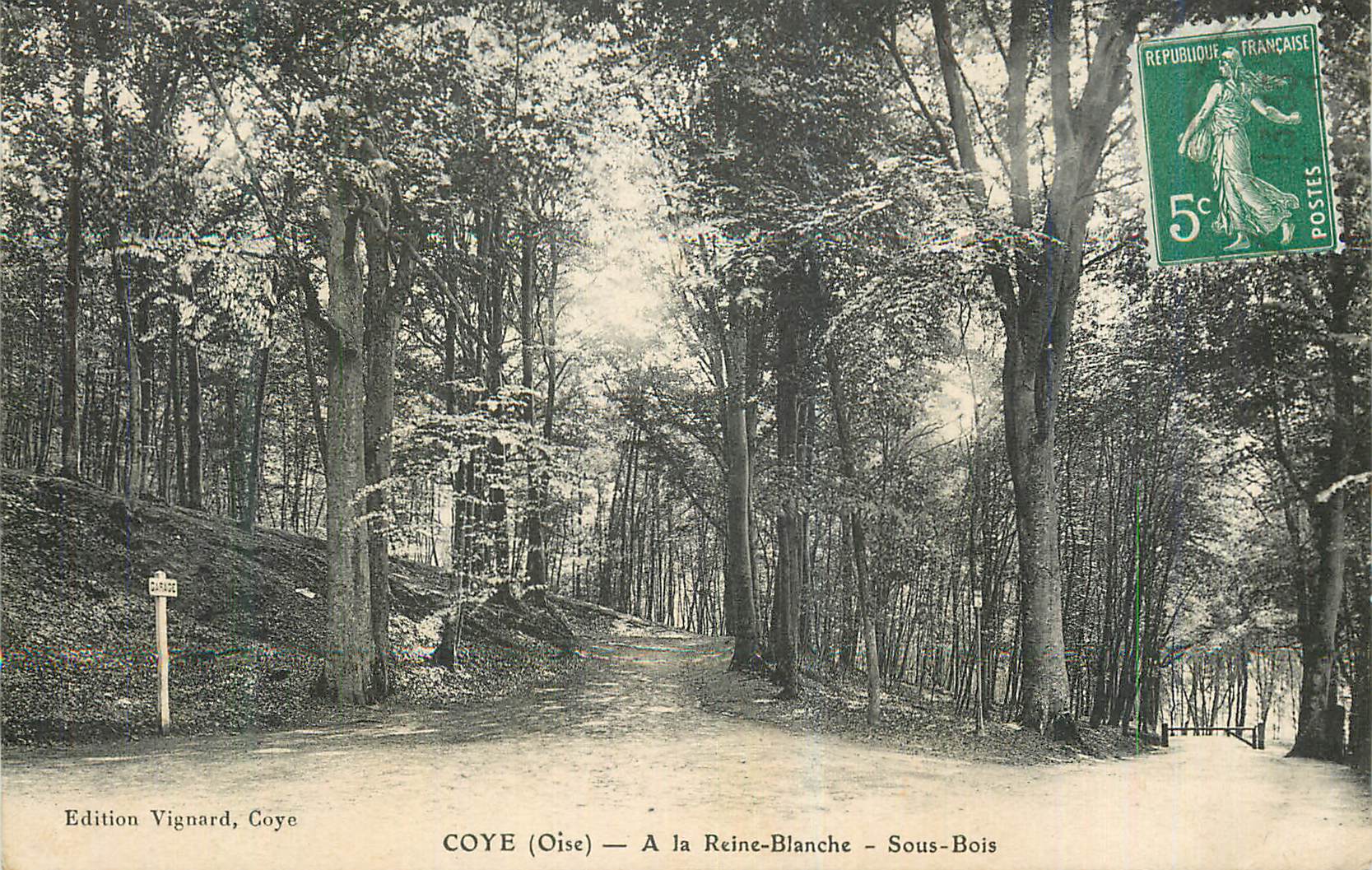 CPA Coye (Oise) A la Reine Blanche Sous Bois