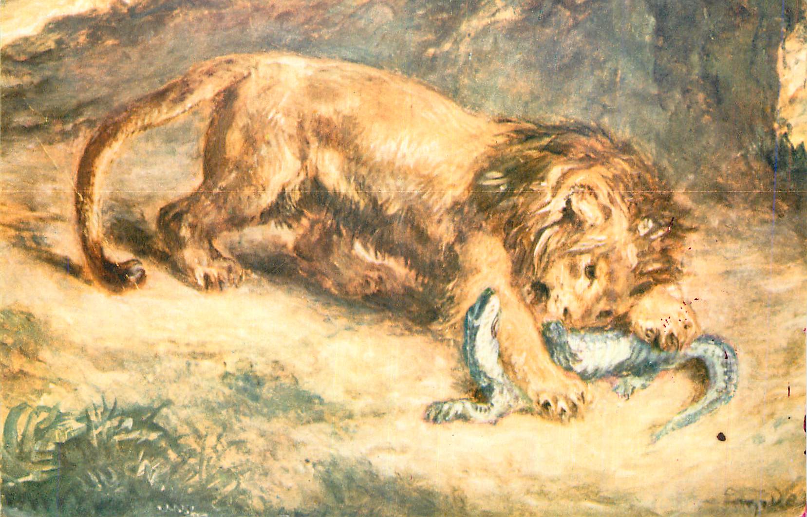 Lion — déchirant un reptile — Sanguin