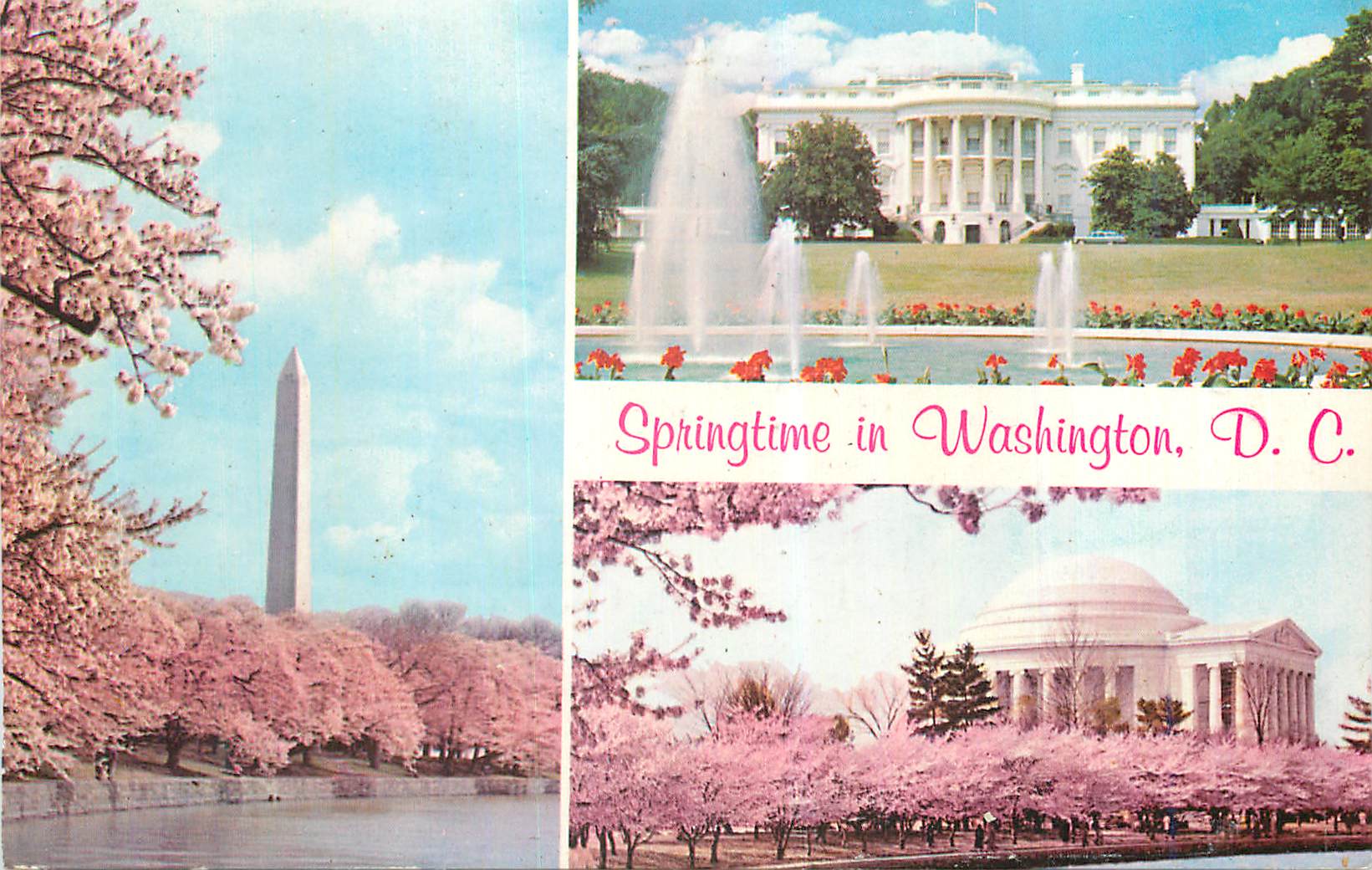 CPM Springtime in Washington DC