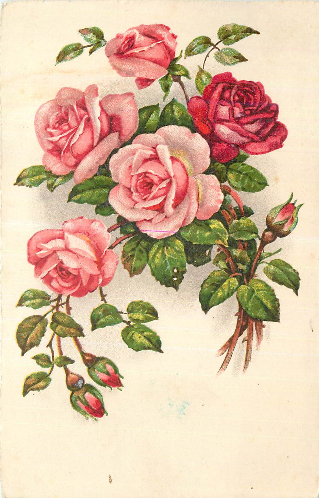 CPA Fleurs Roses