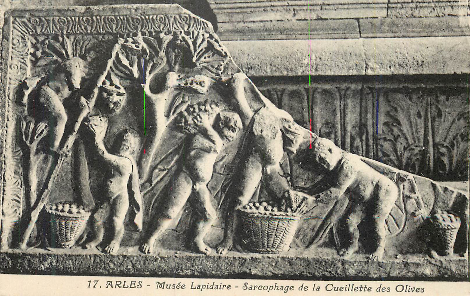 CPA Arles Musee Lapidaire Sarcophage de la Cueillette des Olives