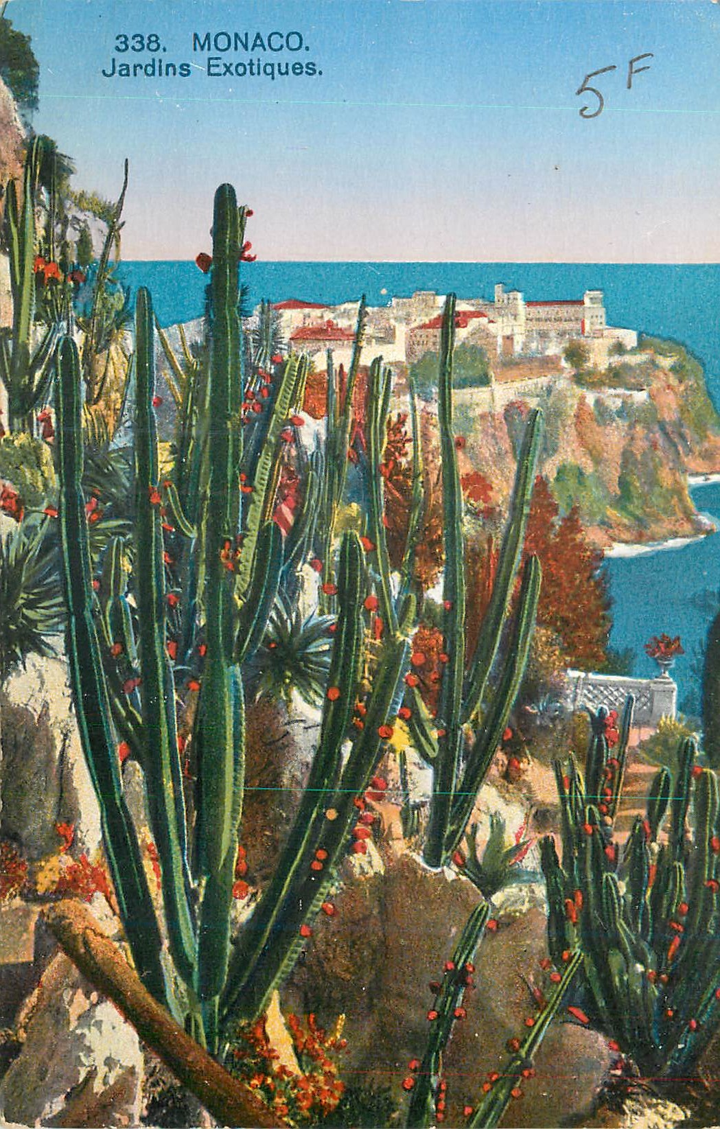 CPA Monaco Les Jardins Exotiques