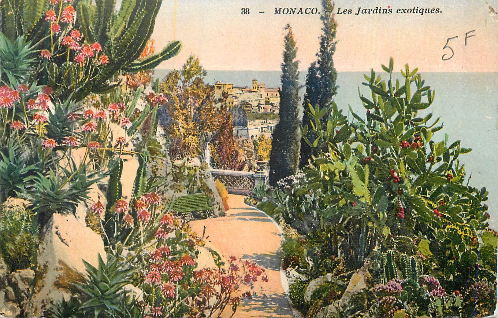 CPA Monaco Les Jardins Exotiques