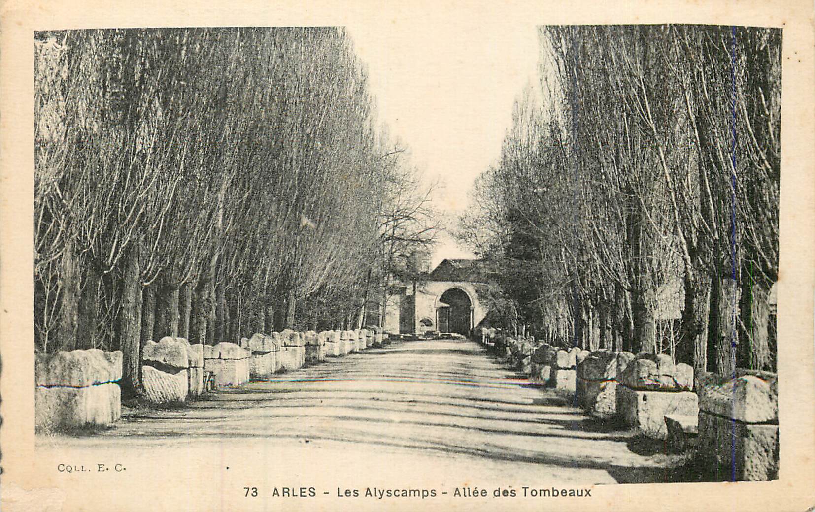 CPA Arles Les Alyscamps Allee des Tombeaux