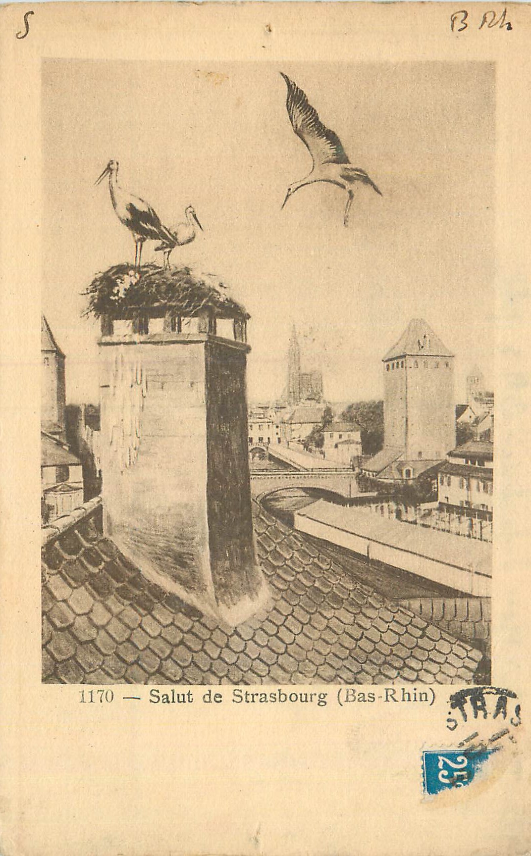 CPA Salut de Strasbourg (Bas Rhin) Cigognes
