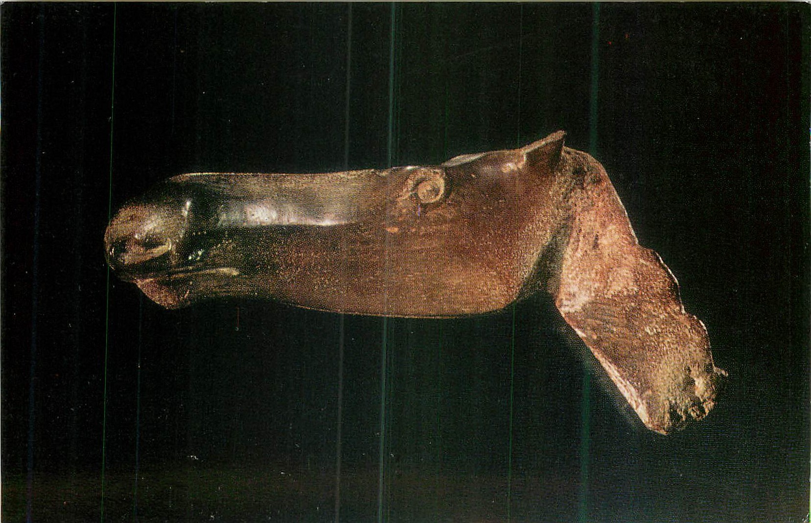 CPM The Hermitage Museum Head o na elk Shigir peat Bog Sverdlovsk District The Bronze Age
