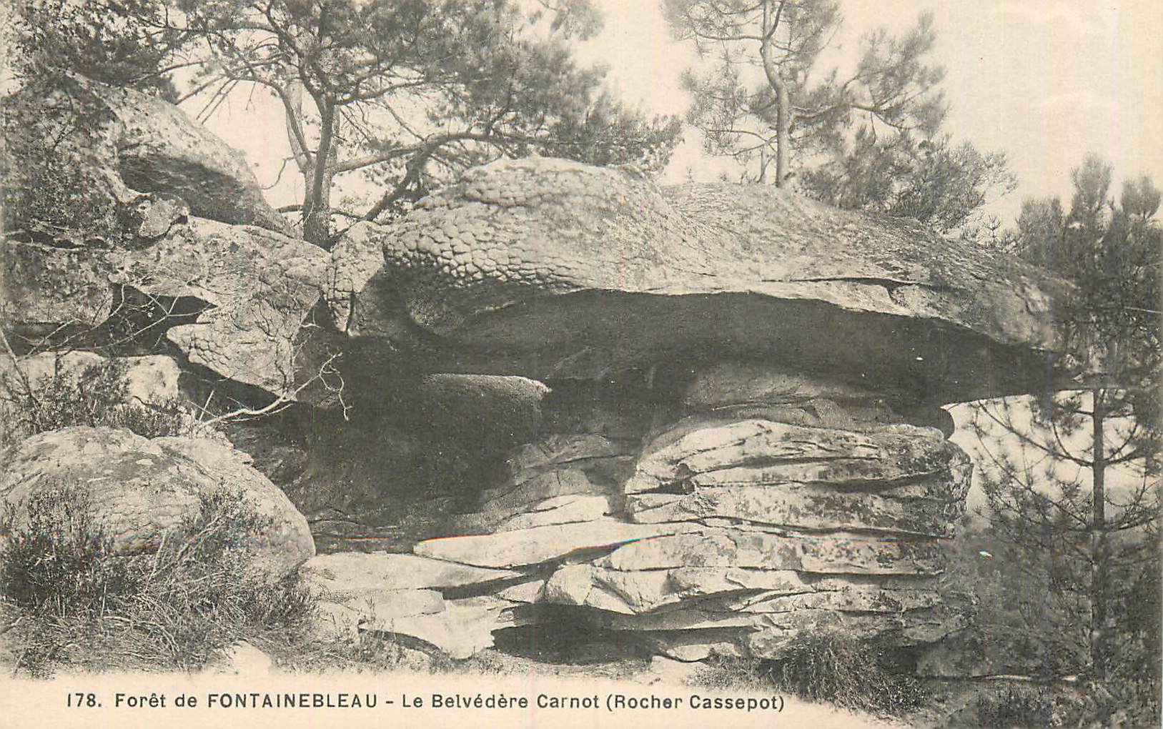 Bosque de FONTAINEBLEAU — El Belvedere Carnot (Rocher Cassepot) — n° 178