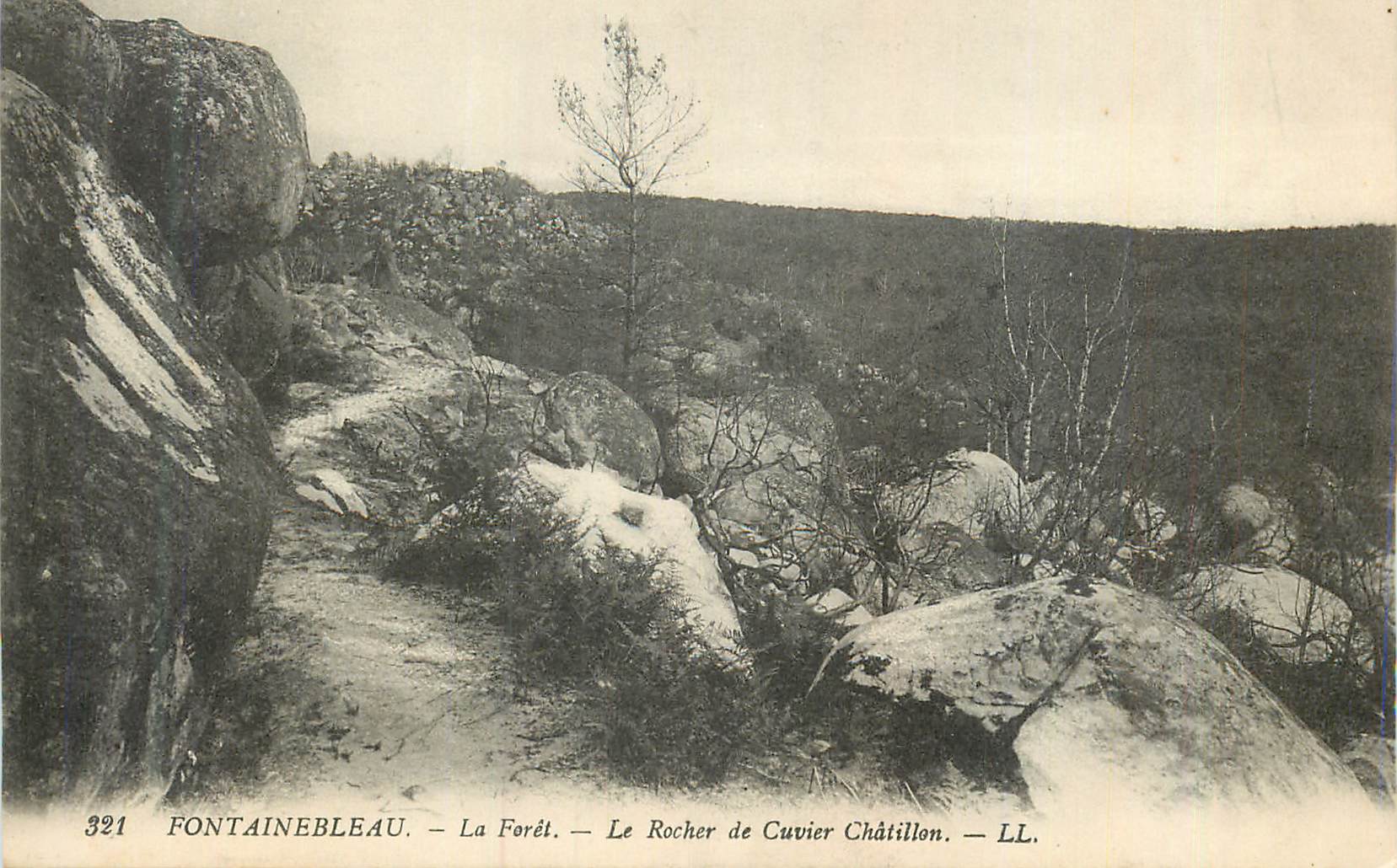 Fontainebleau — La Forêt — Le Rocher de Cuvier Châtillon — LL.