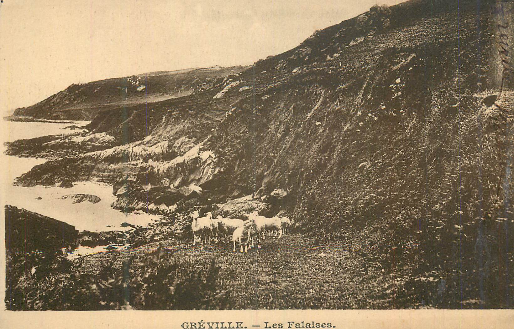 CPA Greville Les Falaises Moutons