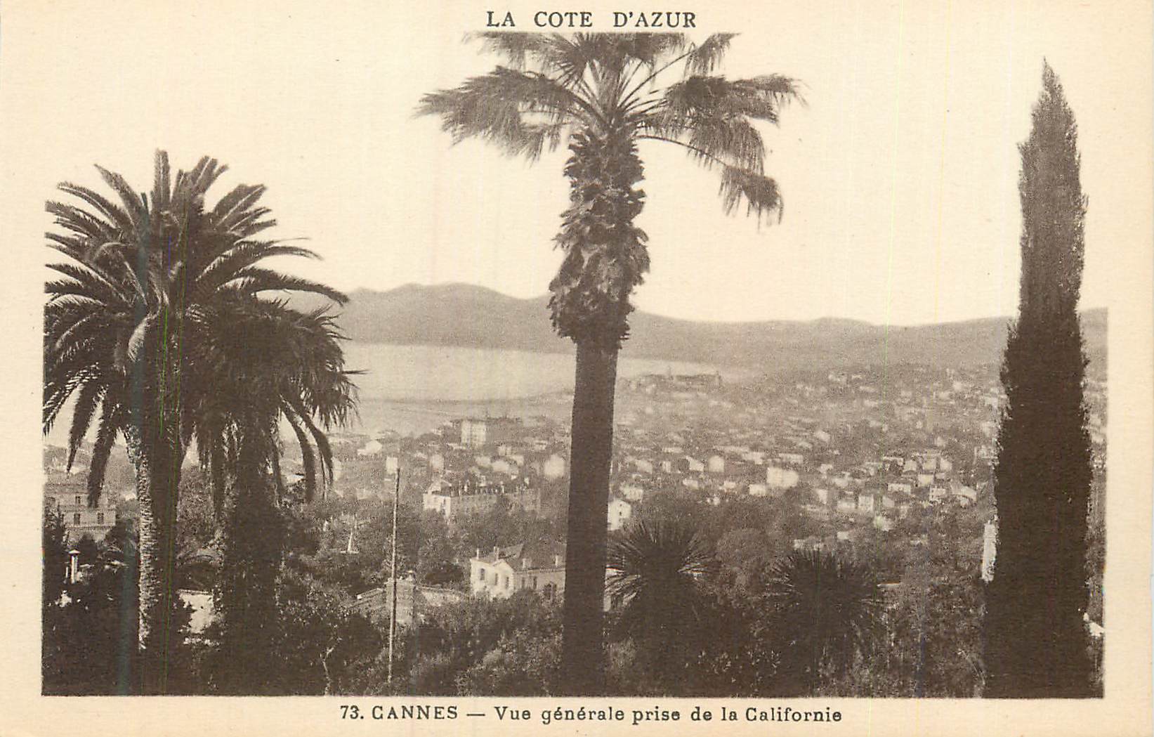 CPA Cannes Cote d'Azur Vue Generale prise de la Californie