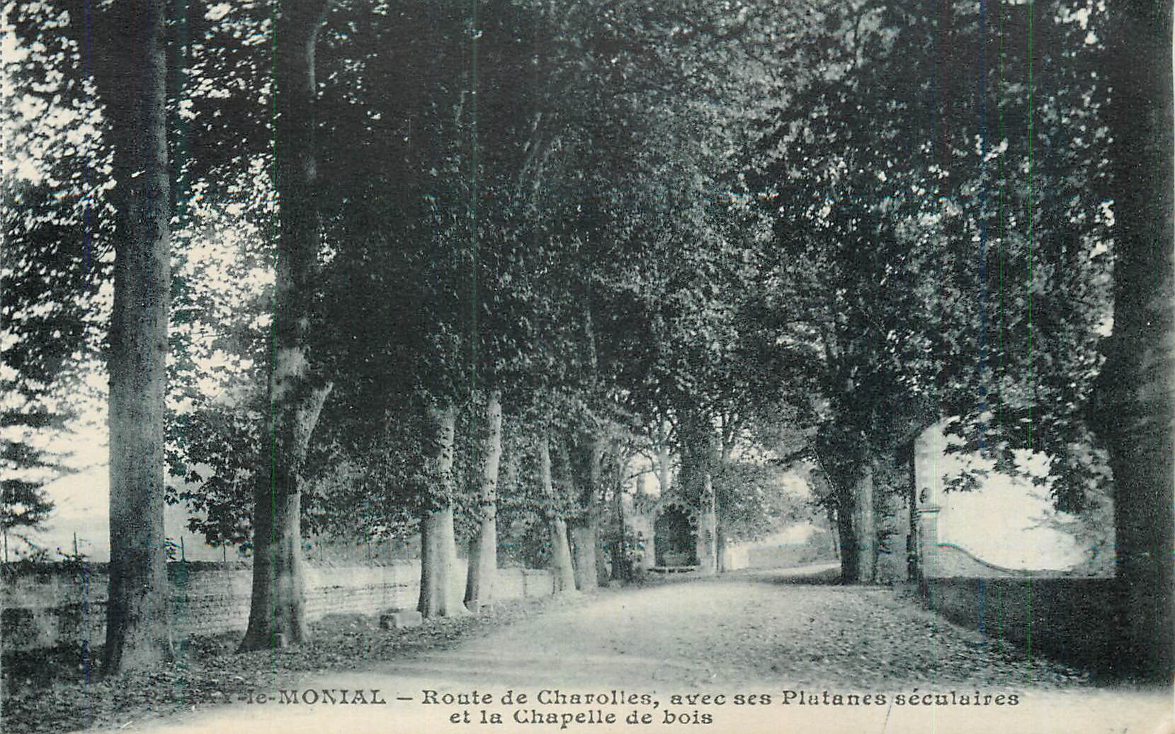 CPA Paray le Monial Route de Charolles avec ses Platanes Seculaires et la Chapelle de Bois