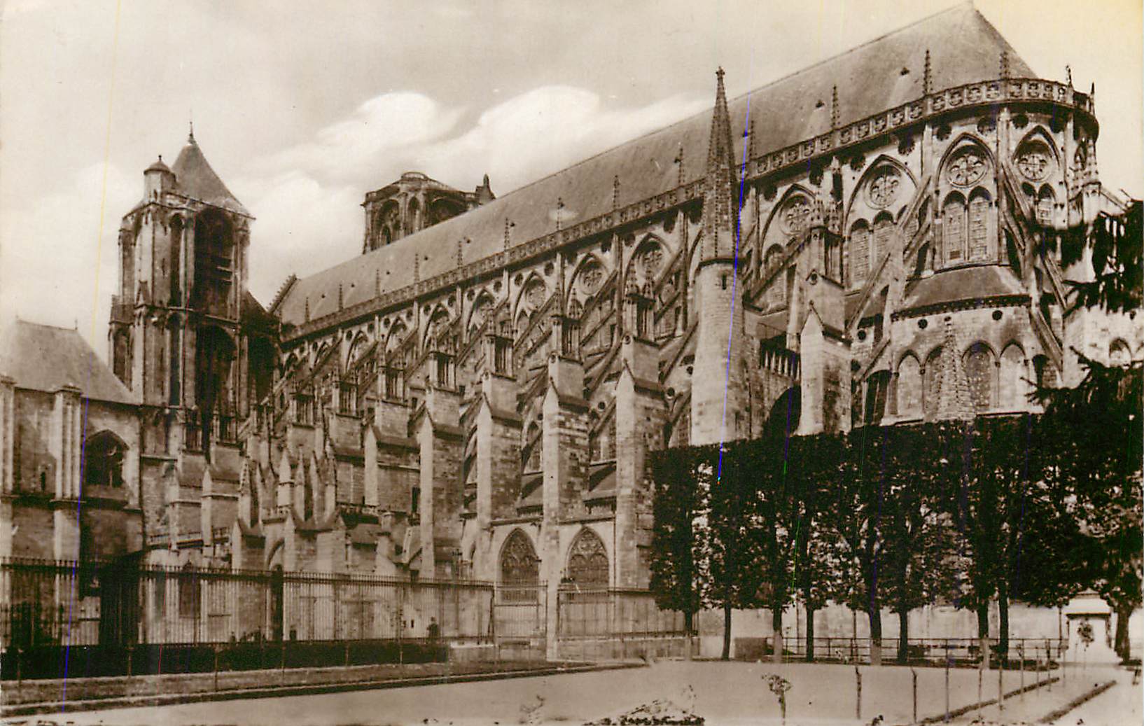 CPM Bourges La Cathedrale vue prise du Jardin de l'Hotel de Ville