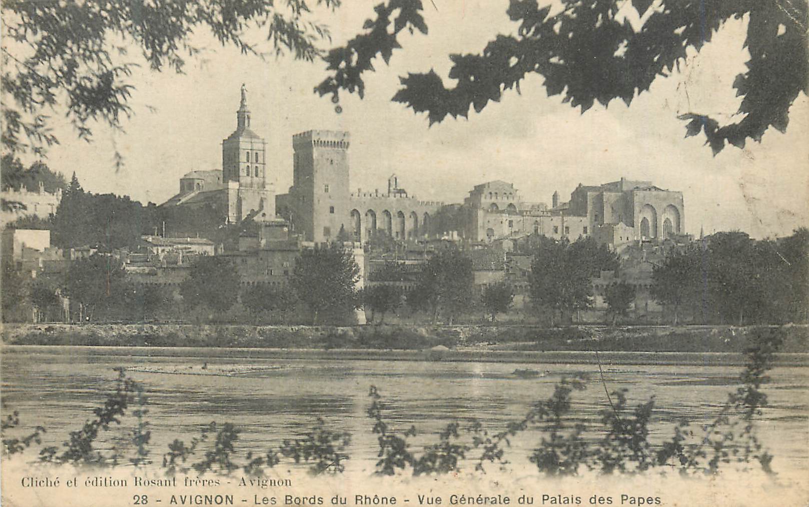 CPA Avignon Les Bords du Rhone Vue Generale du Palais des Papes