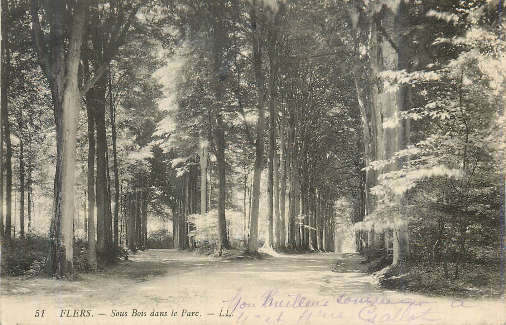 CPA Flers Sous Bois dans le Parc