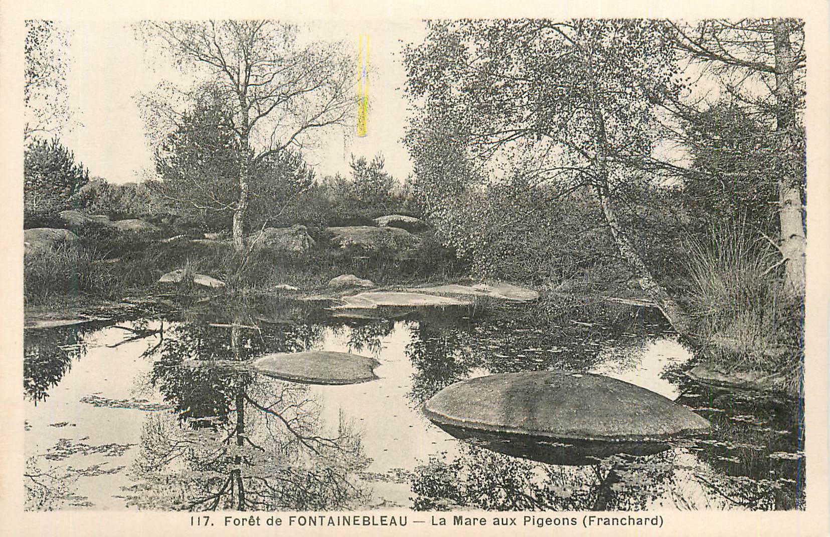 Wald von FONTAINEBLEAU — Der Ententeich (Franchard)
